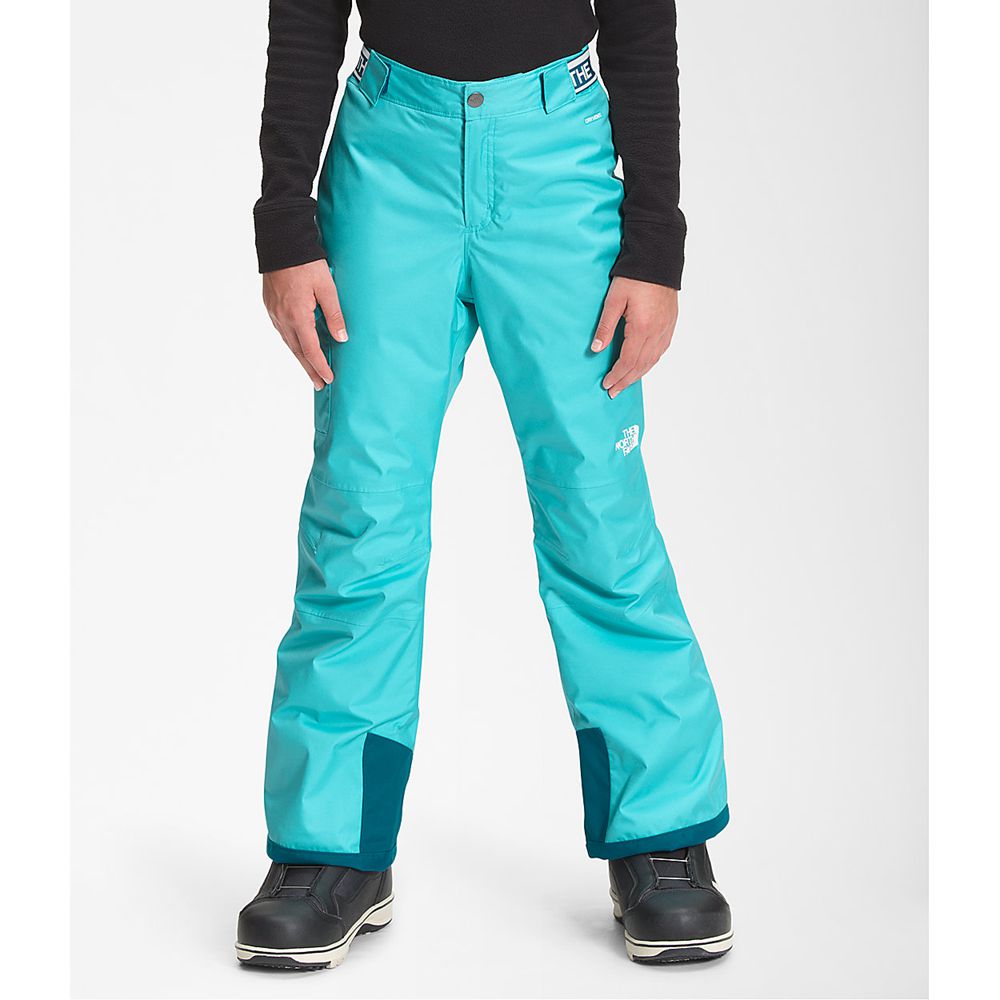 The North Face Pants Girls Australia - The North Face Freedom Insulated Dark Blue Dryvent (PKV-05867